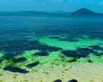 济州岛旅游的最佳时间是什么时候？