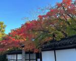 日本京都三天两夜旅游攻略