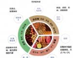 全谷物对大脑的益处及食用攻略