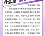 数字排毒期间的饮食计划