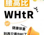 腰高比和体重指数（BMI）有什么区别？