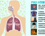 如何判断自己是否受到了PM2.5对大脑的损伤？