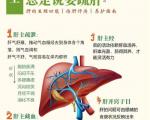 如何通过运动来保护肝脏？