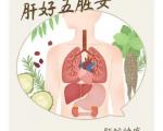 一份保护肝脏的运动计划