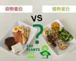 植物蛋白替代红肉的具体比例是多少？