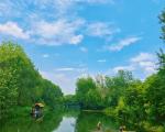 溱湖湿地公园内的摇橹船可以坐几个人？