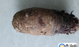 煎香芋糯米糍