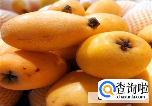 枇杷果保存方法是怎么样的