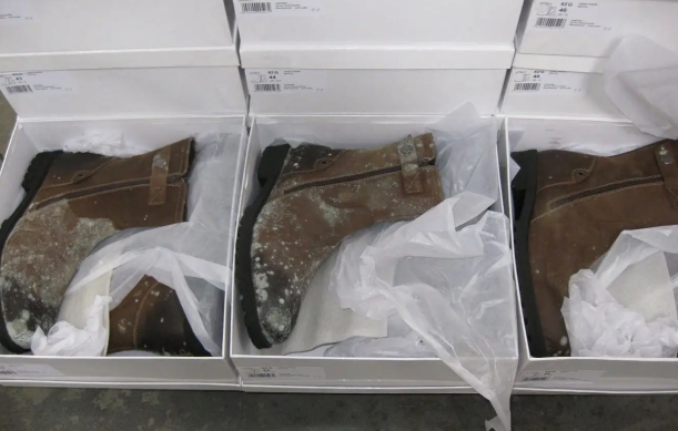 怎么预防物品发霉？