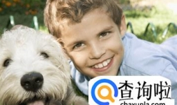 魏姓男孩起名字大全