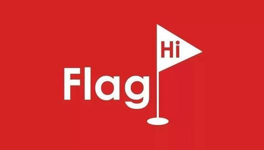 flag是什么意思中文