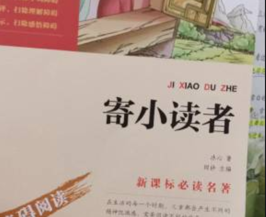 寄小读者全文主要内容简述