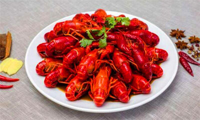 小龙虾生长在什么地方