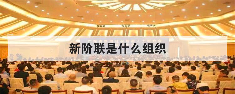 新阶联是什么组织