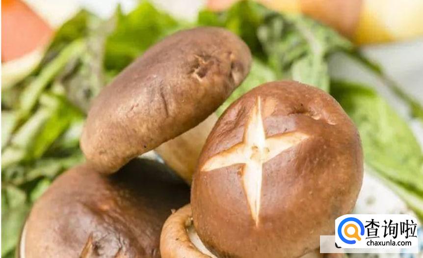 手术后能吃香菇吗