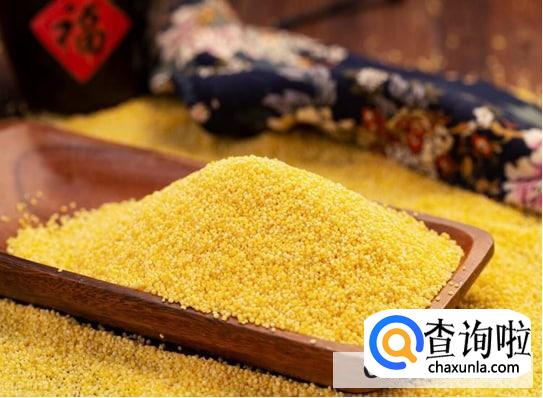 粮食小米哪里好