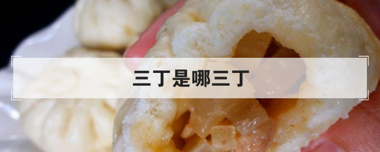 三丁是哪三丁