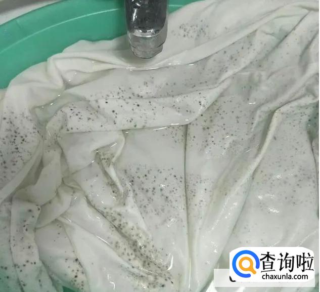 怎么预防物品发霉？