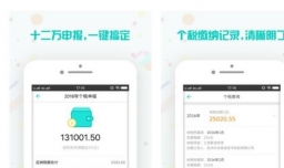 怎么查个人所得税？