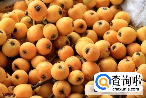 枇杷果保存方法是怎么样的