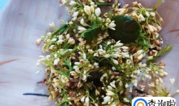 自做的桂花糕