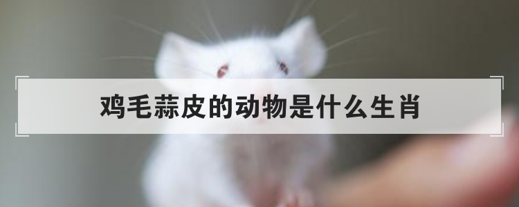 鸡毛蒜皮的动物是什么生肖