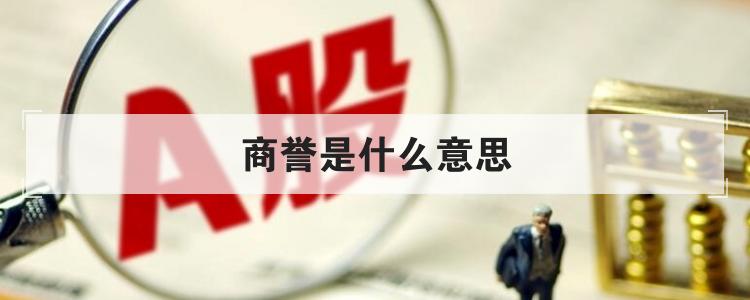 商誉是什么意思