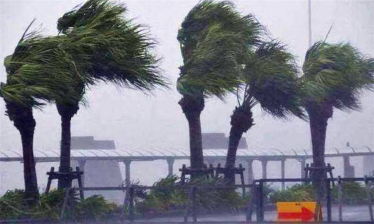 台风为什么叫台风