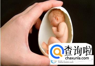 桓姓宝宝起名