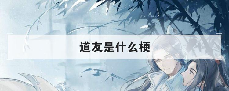 道友是什么梗