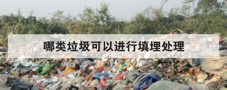 哪类垃圾可以进行填埋处理