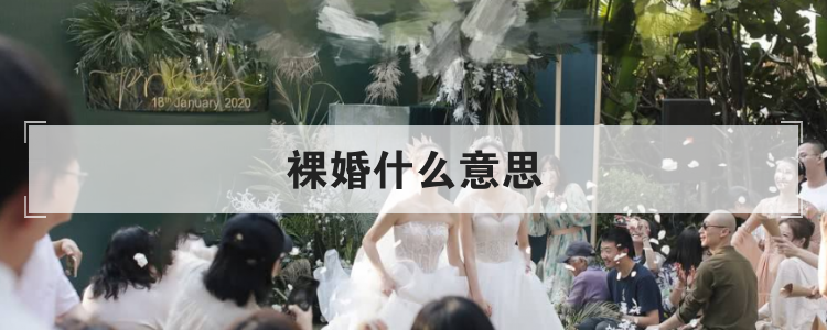 裸婚什么意思