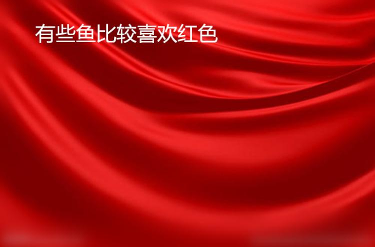 鱼是不是色盲