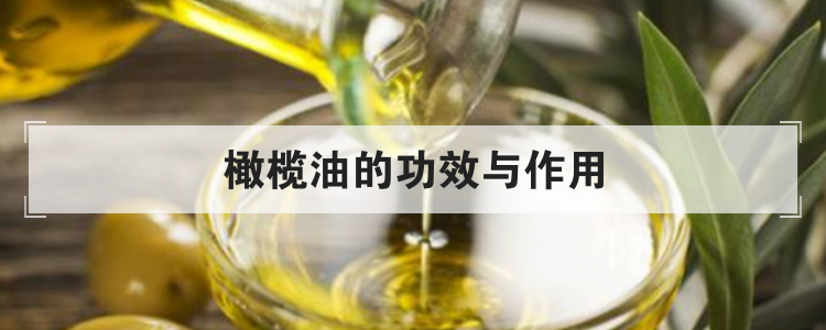 橄榄油的功效与作用