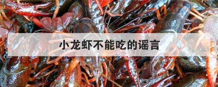 小龙虾不能吃的谣言