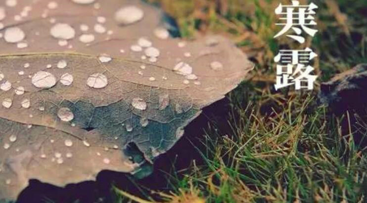 寒露节气的含义