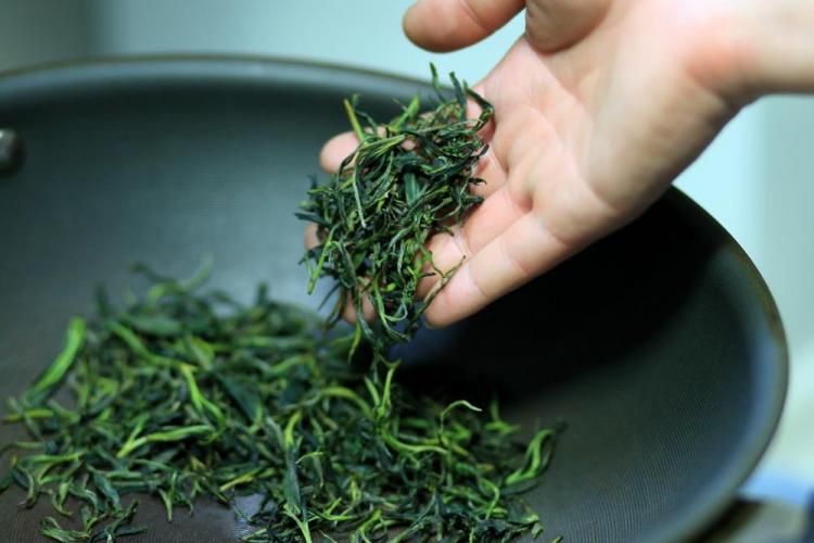绿茶有哪些品种
