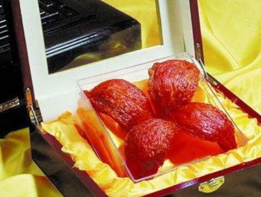 血燕指的什么