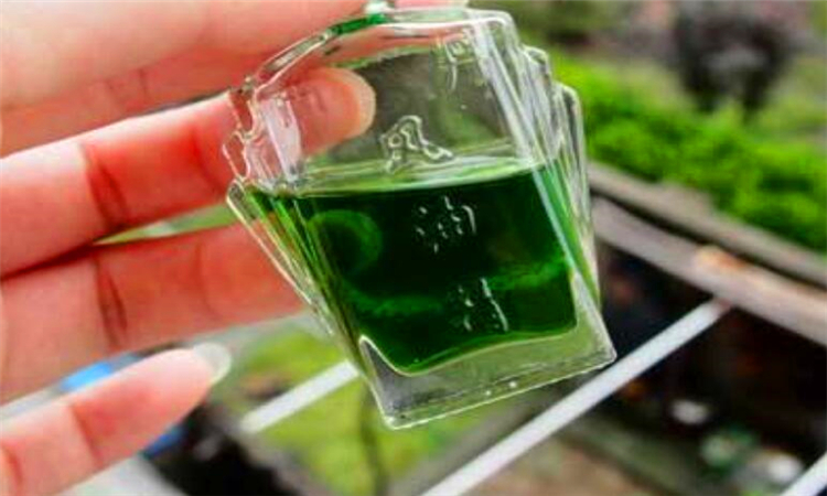 风油精的妙用