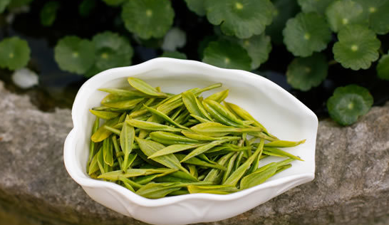 龙井茶怎么泡