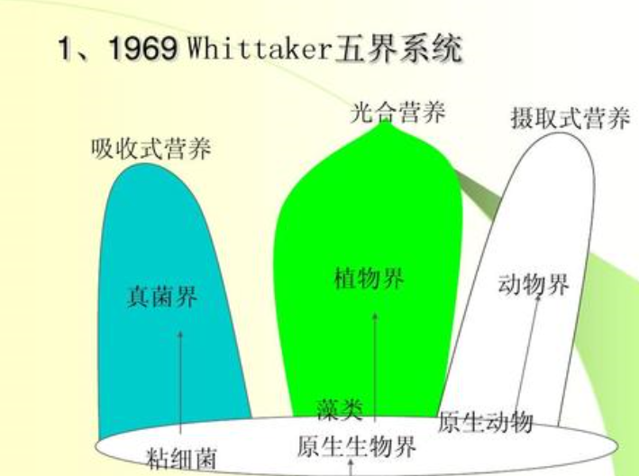 五界是哪五界