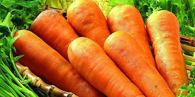 胡萝卜有硬芯怎么回事