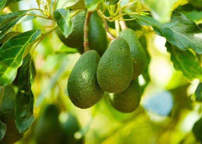 胖子夏天如何防止磨腿