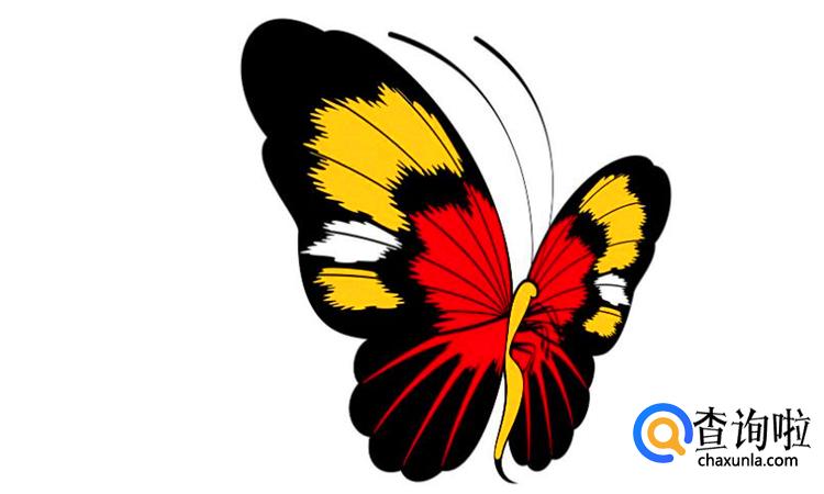 蝴蝶的家在哪里