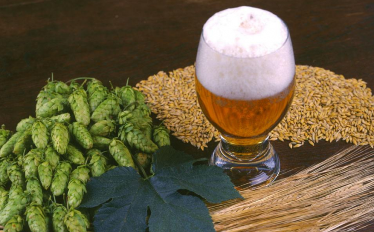 beer是什么意思