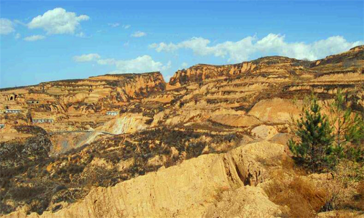 黄土高坡指的是哪里