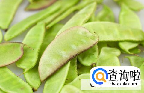 扁豆的功效与作用