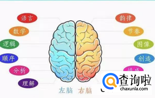 如何训练大脑
