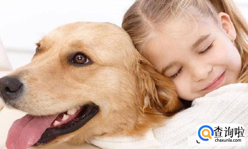 狗狗被人偷了怎么找