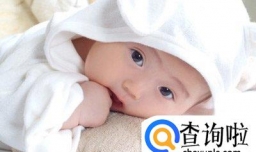 最新薛姓起名字大全